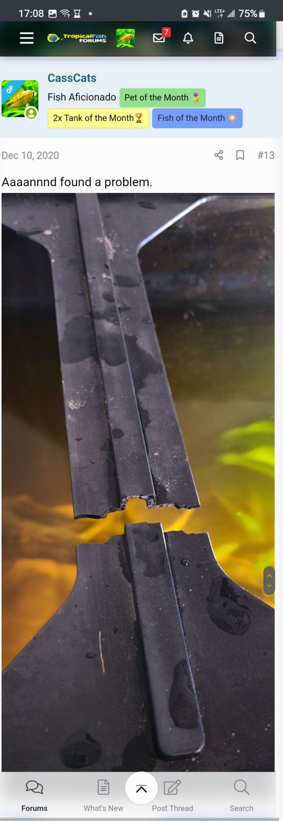 Screenshot_20240803_170837_Samsung Internet.jpg