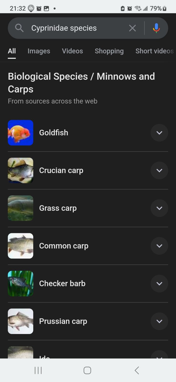 Screenshot_20250219_213219_Samsung Internet.jpg