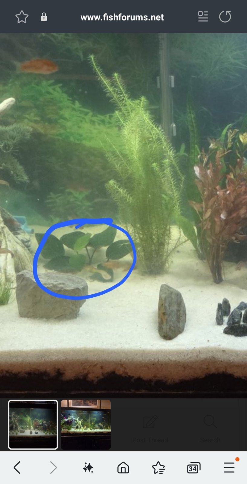 Screenshot_20250404_002824_Samsung Internet.jpg