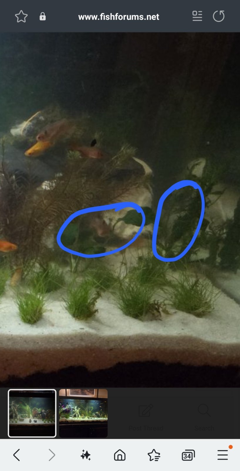 Screenshot_20250404_002846_Samsung Internet.jpg