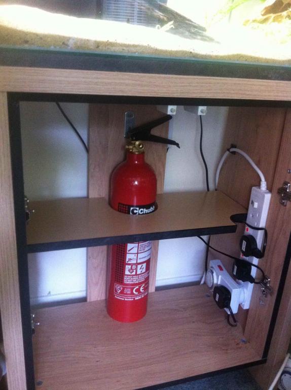 Shelf stage 4.jpg