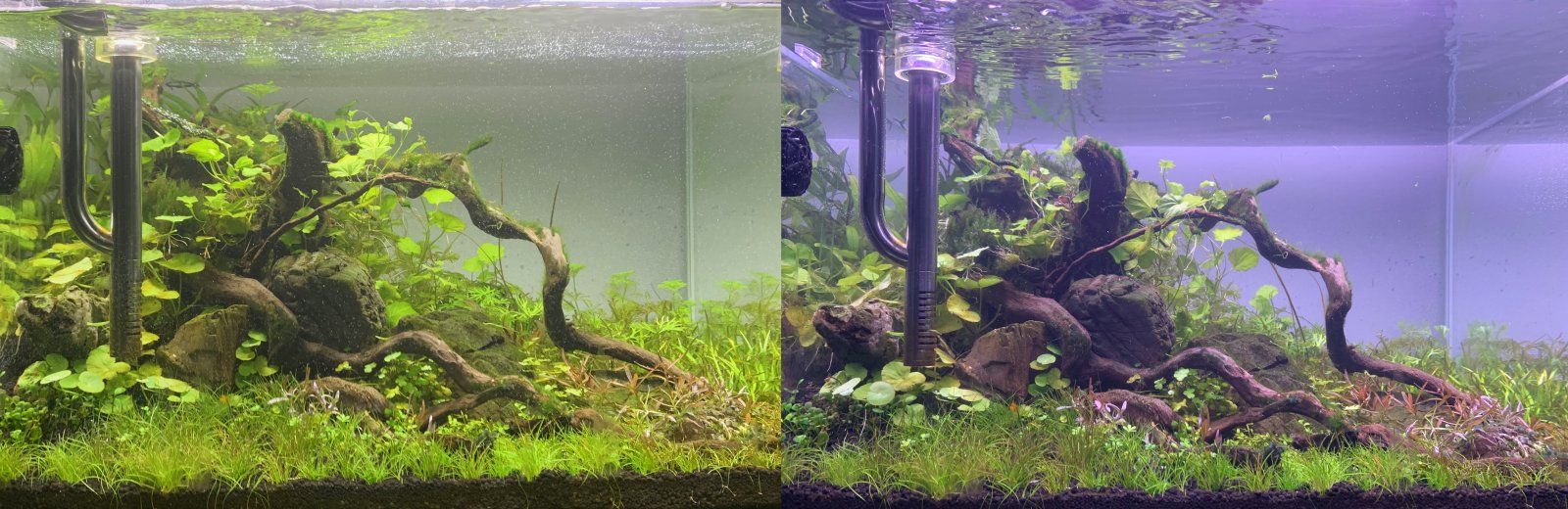 side by side copy.jpg