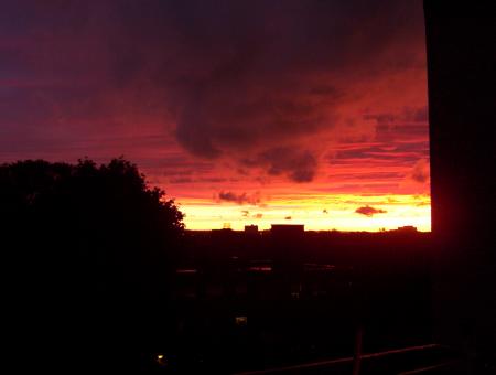 skypic2.jpg