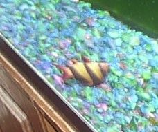 sleeping_again.jpg