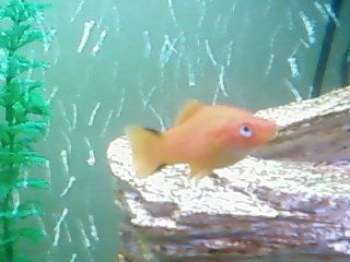 SP_A0219.jpg