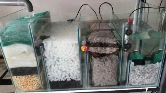 Sump-Filter.jpg
