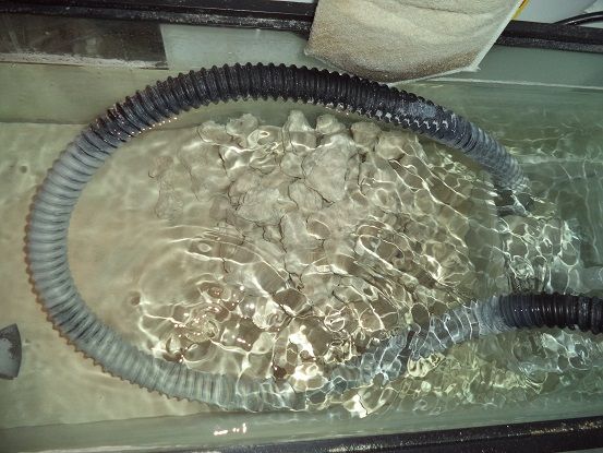 sump2.jpg