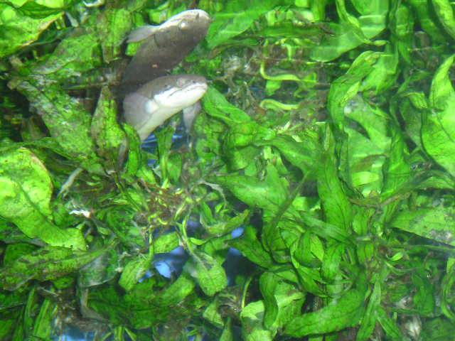 Sunny_009.jpg