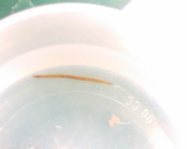 sunp00043bj.jpg