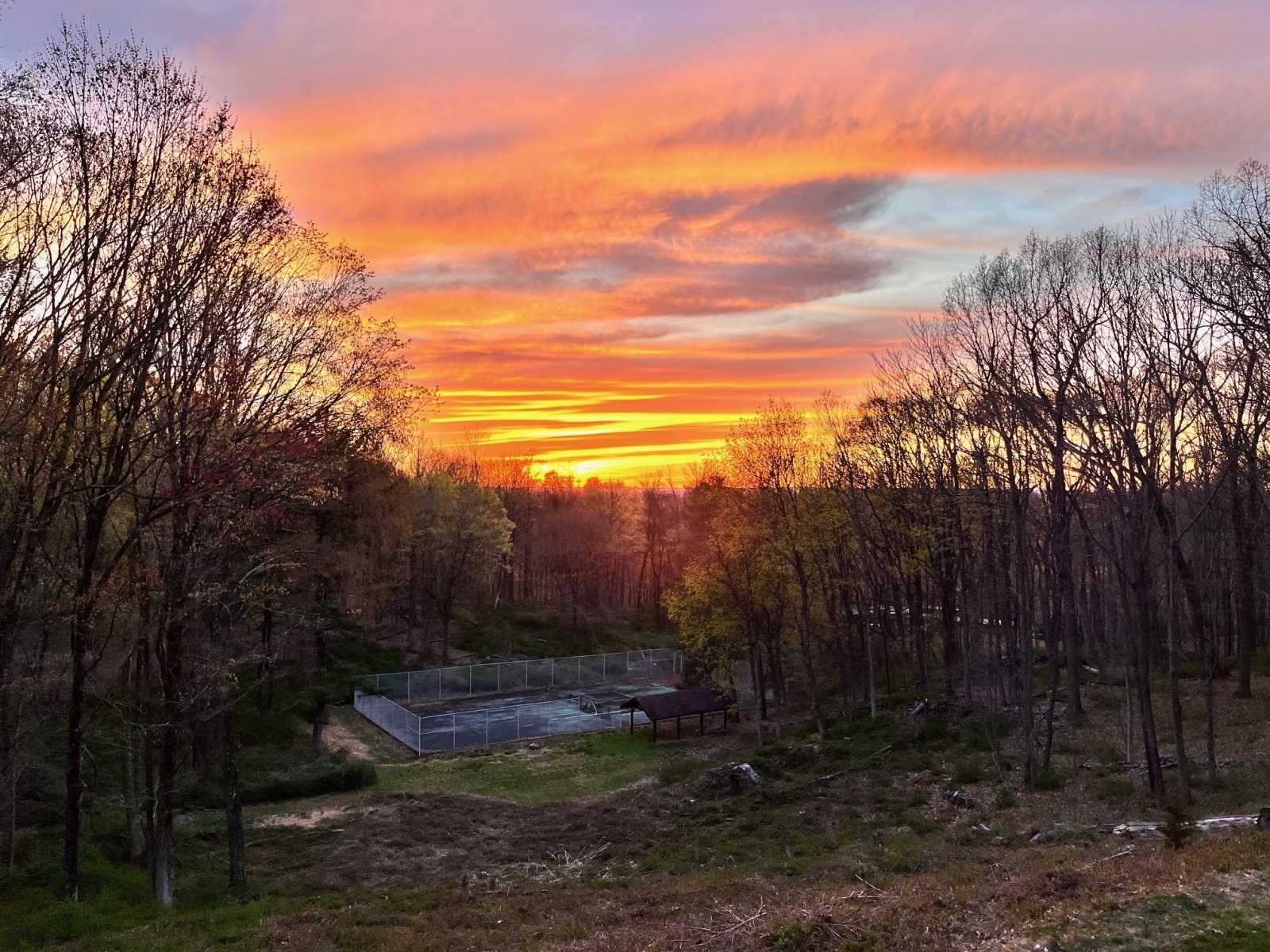 sunset.jpg