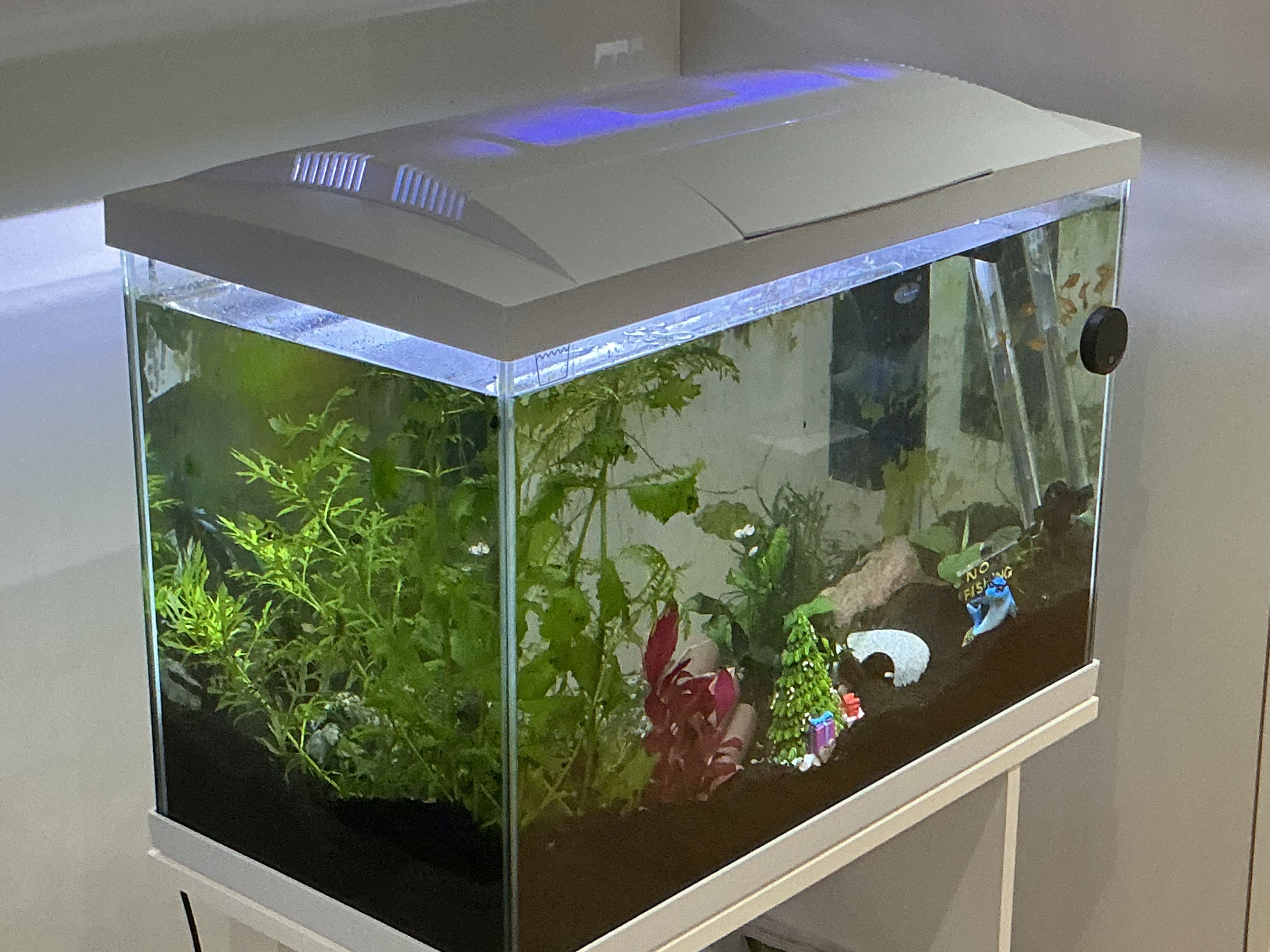 Superfish Start 70 at an angle