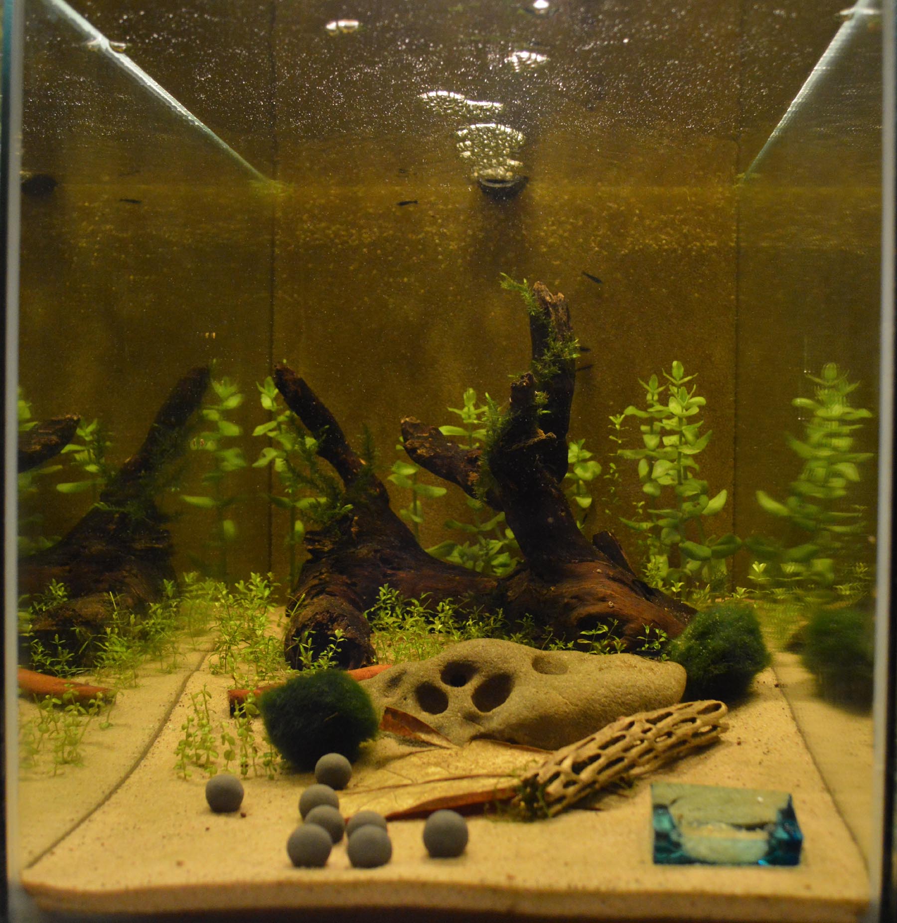 tank 3.jpg