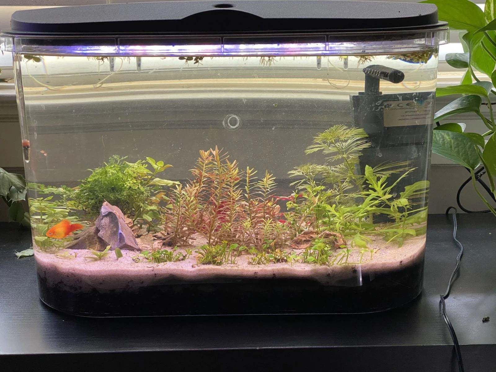 Tank 5.jpg