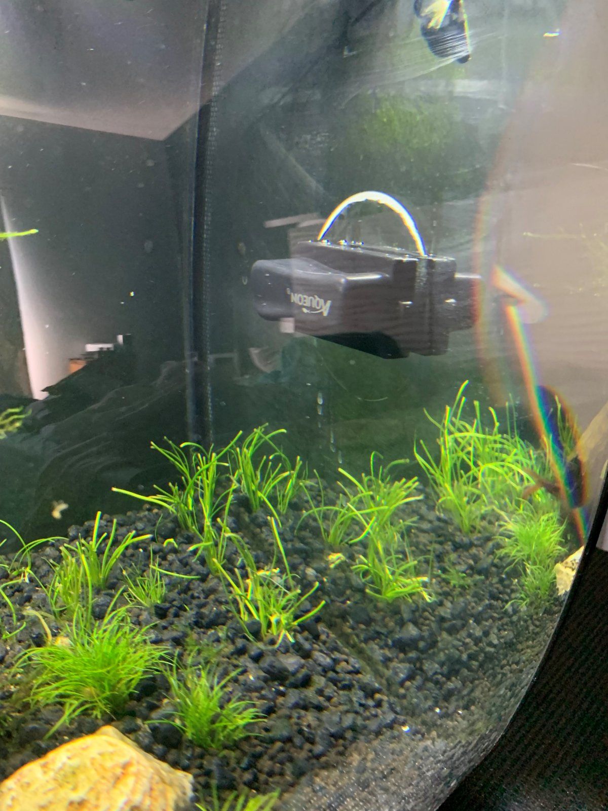 Tank Cam magnet side.jpg