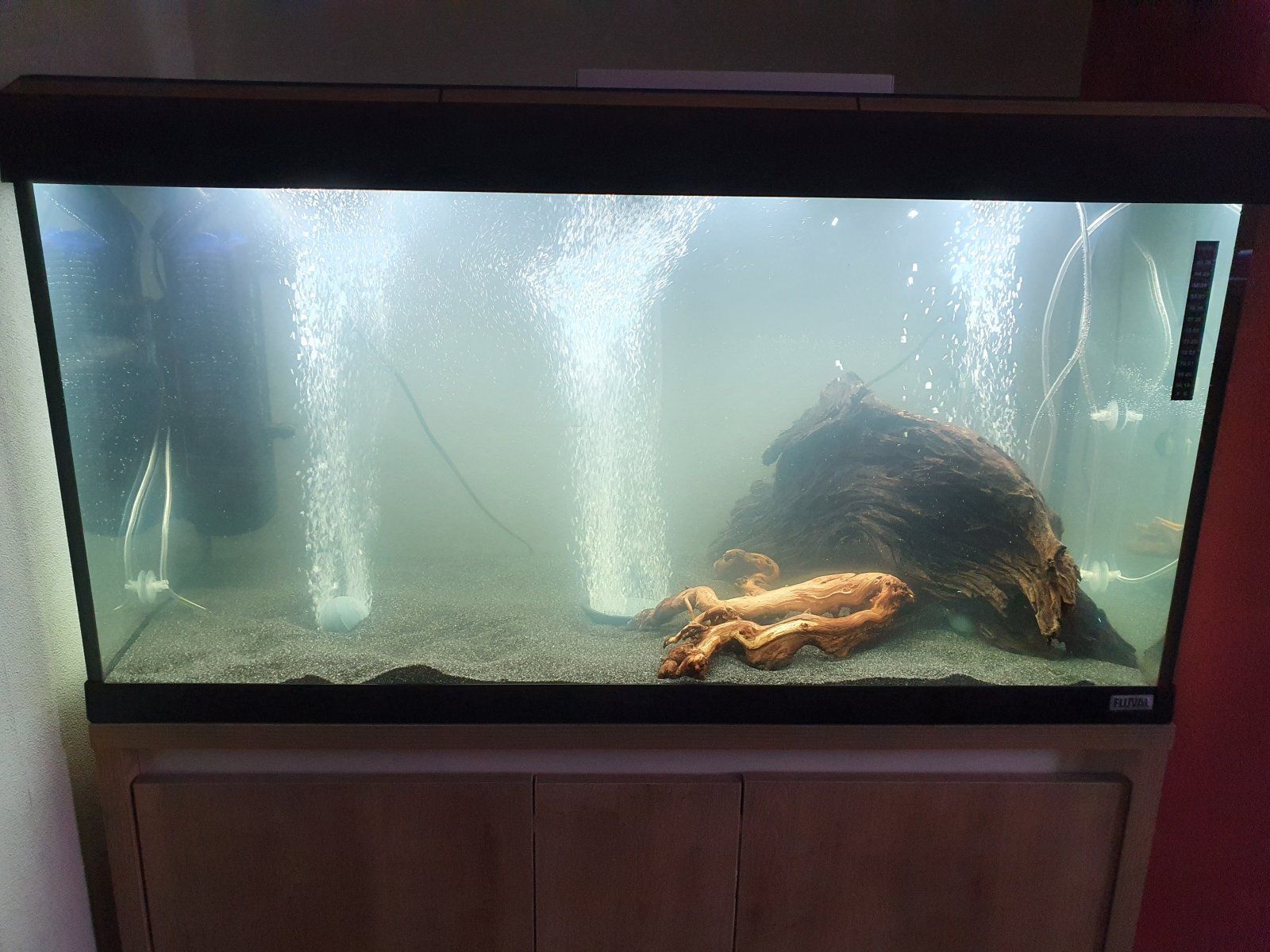 tank pic 1.jpg