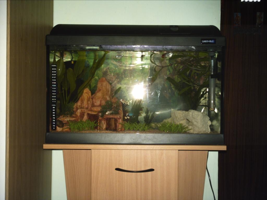 tank1.JPG