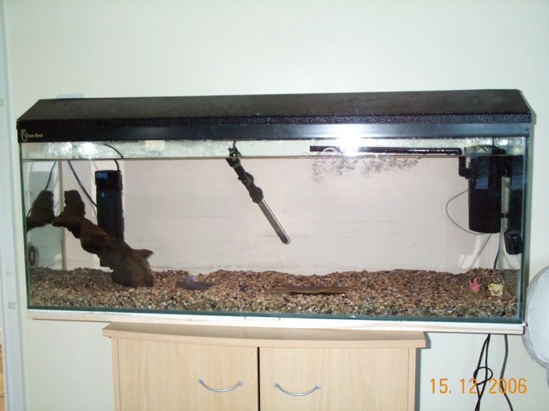 tank1.jpg