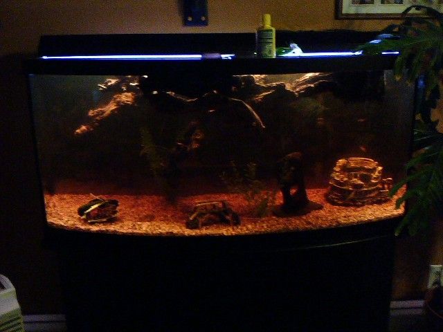 tank1.JPG