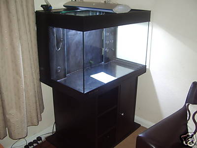 tank1.jpg