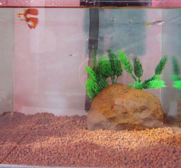 tank1.jpg