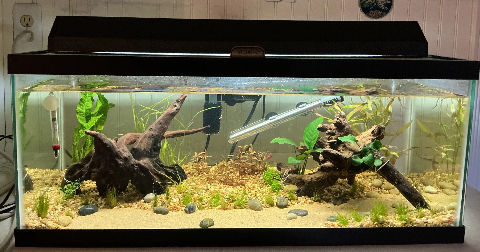 tank920.webp