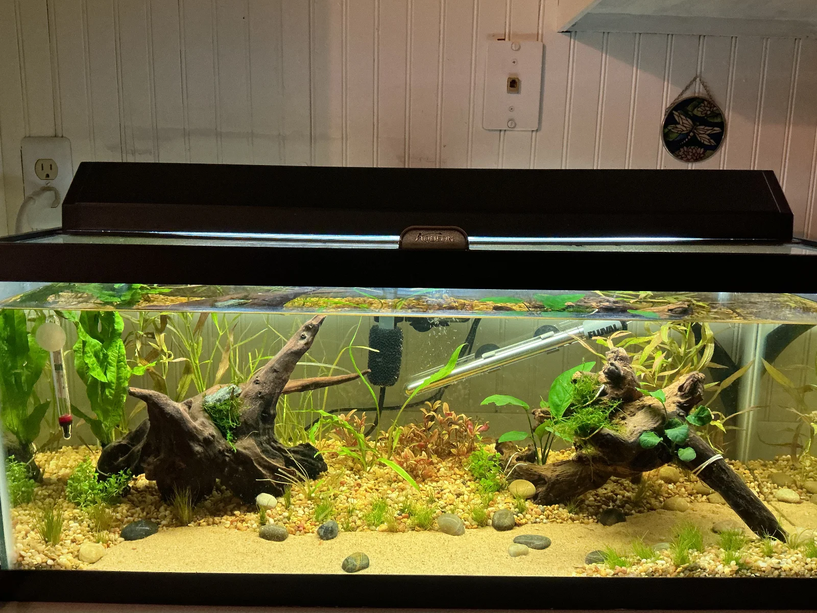 tank926.webp