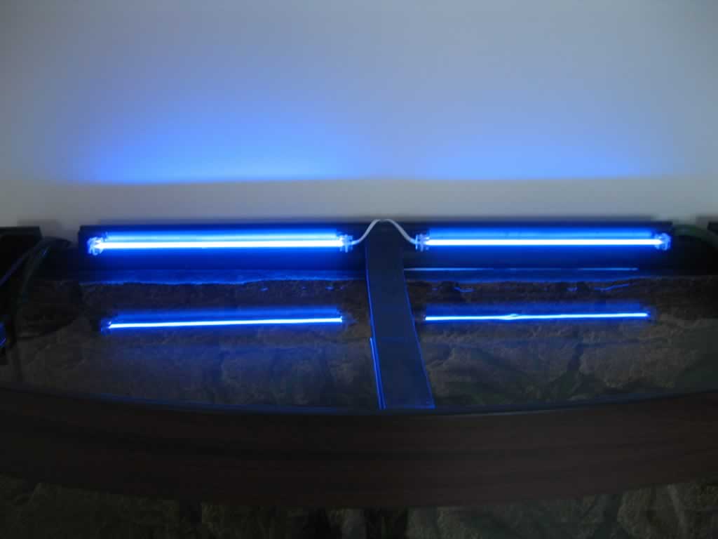 Tank_001.jpg