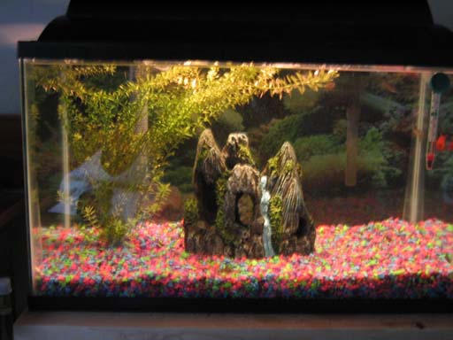 tank_002.jpg