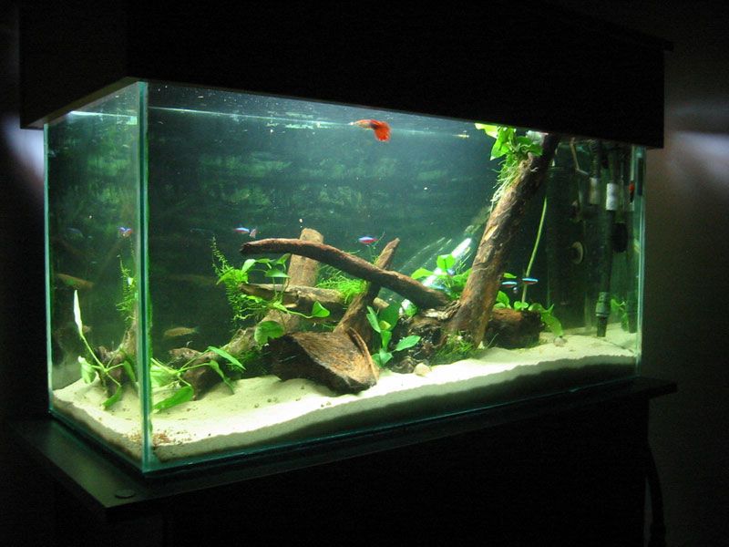 tank_11_01_2006.jpg