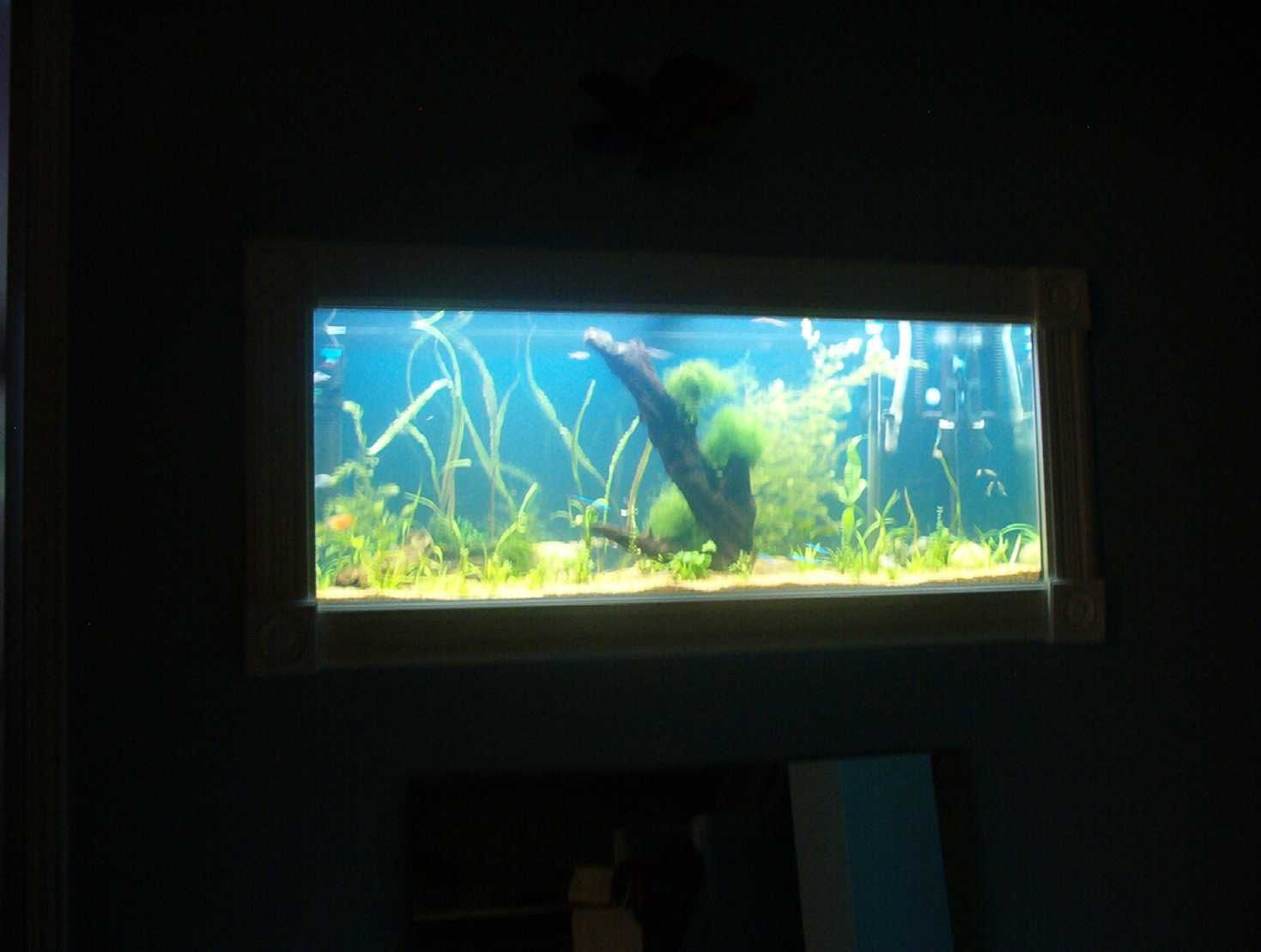 tank_120.jpg