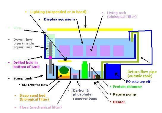 tank_and_sump.jpg