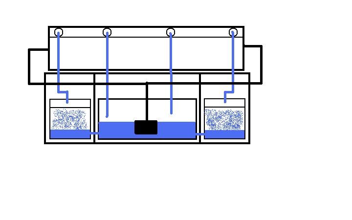 tank_setup.jpg