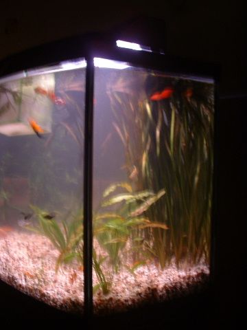 Tank_Side4.JPG