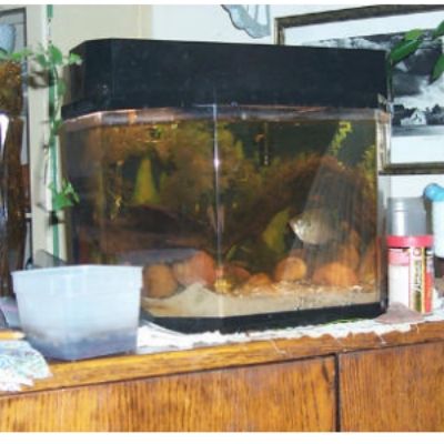 Tankfullshot_resized.jpg