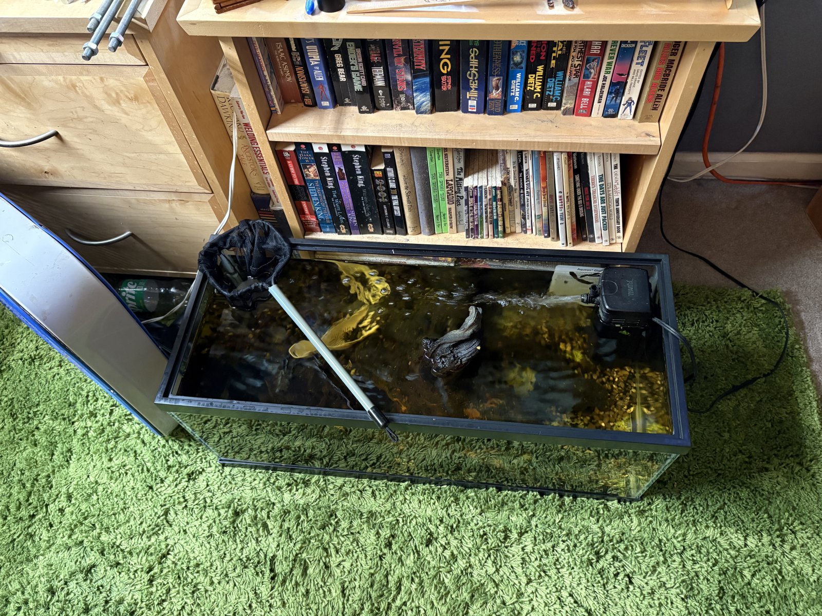 temp tank.JPG