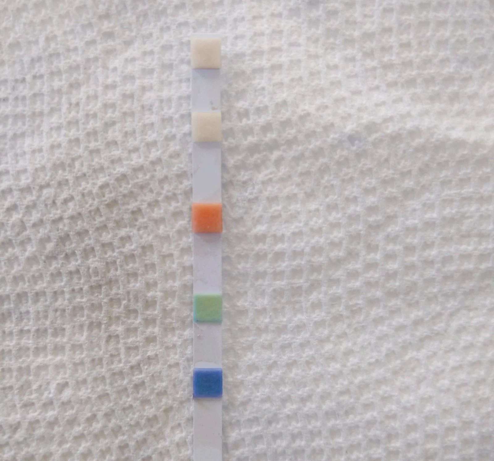 test.jpg