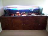 th_101_0539.jpg