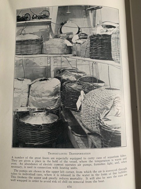 tins.jpg