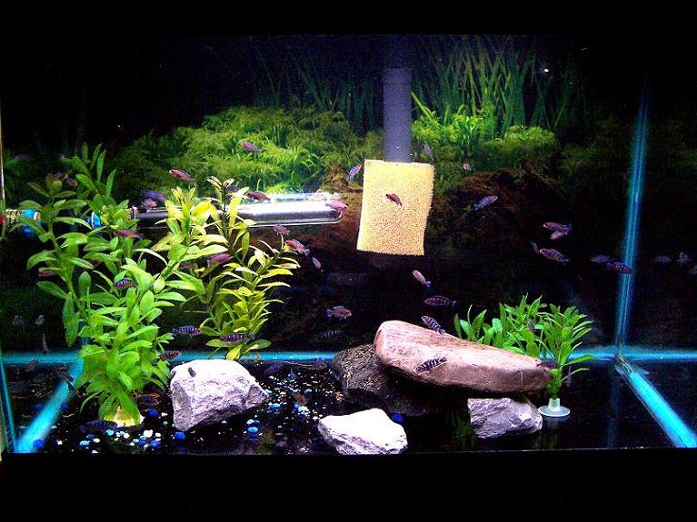 top20gallon_march20.jpg