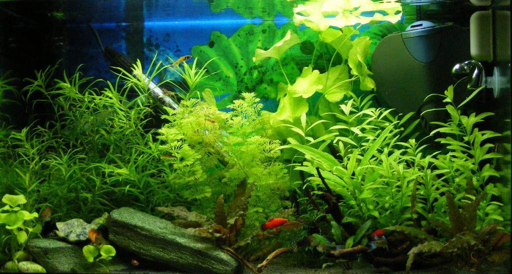 TOTM May 2015 (3).JPG