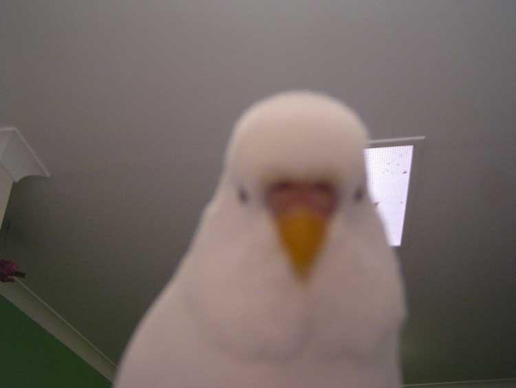 twit3.jpg