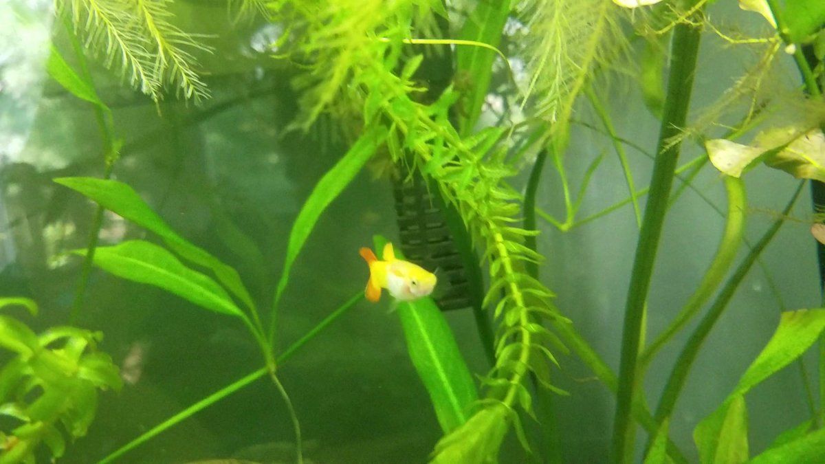 VideoCapture_20190714-113253.jpg