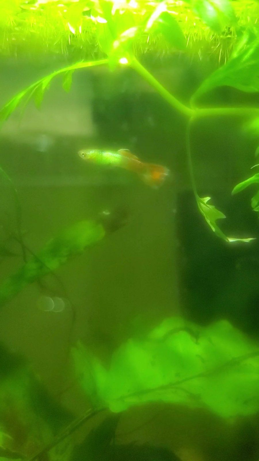 VideoCapture_20220719-184131.jpg