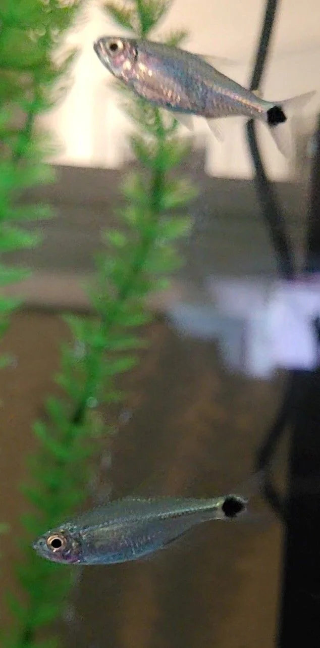 VideoCapture_20230301-185041.jpg