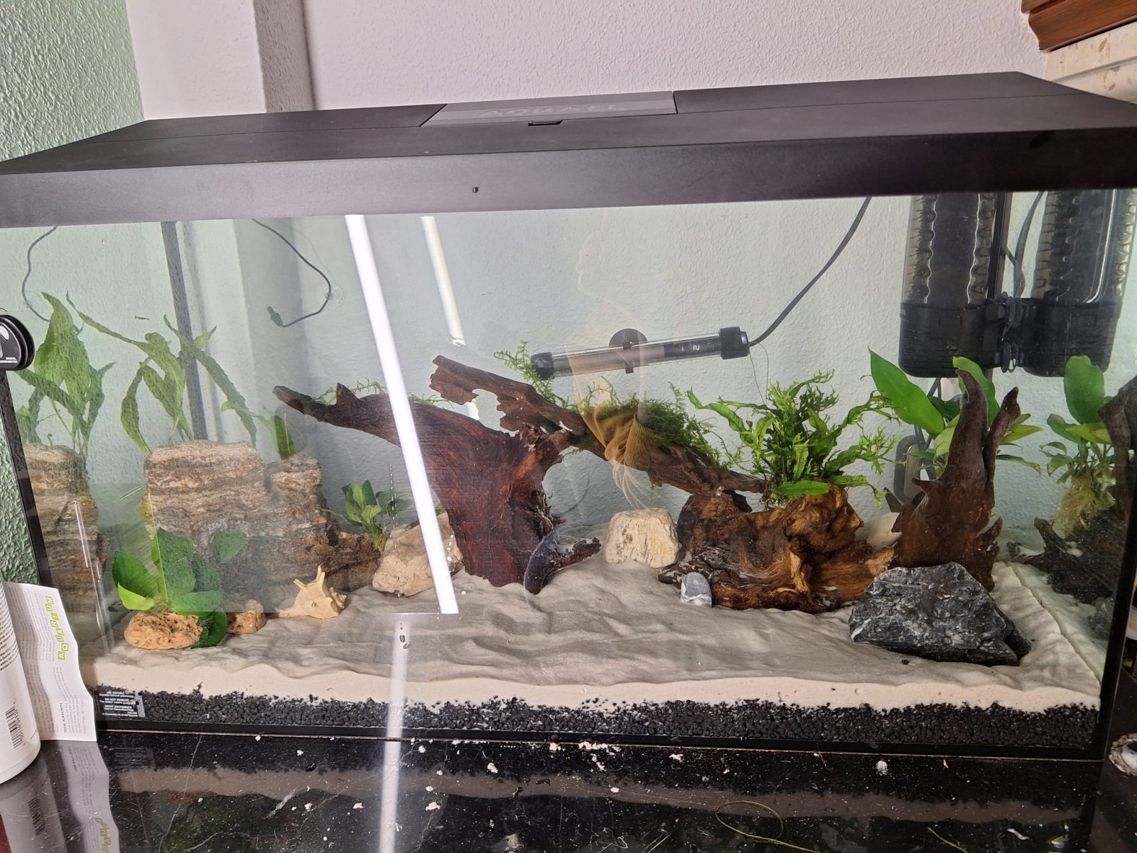 WhatsApp Image 2026-03-18 at 21.12.54.jpeg