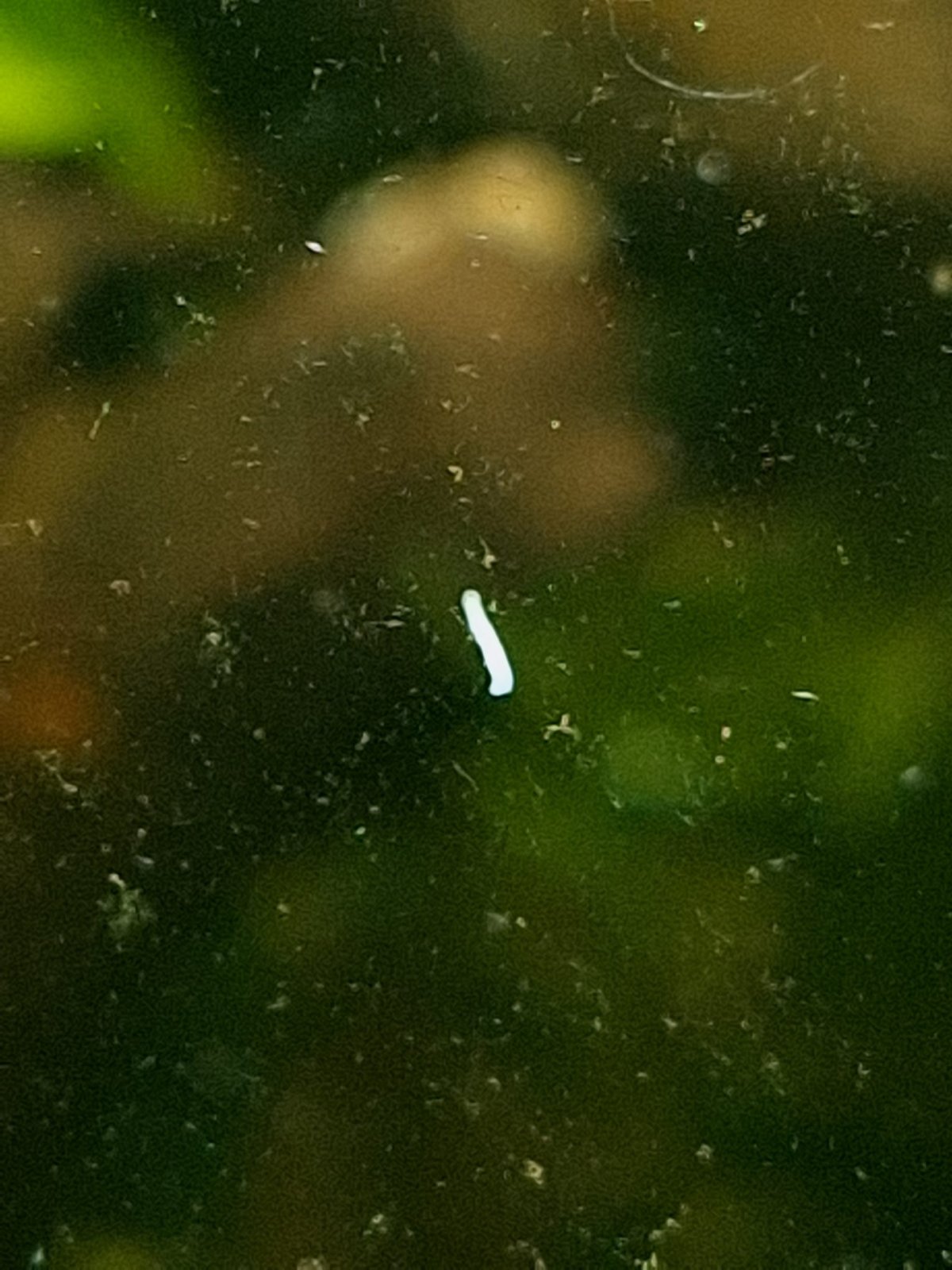 WhatsApp Image 2026-04-11 at 14.48.51.jpeg