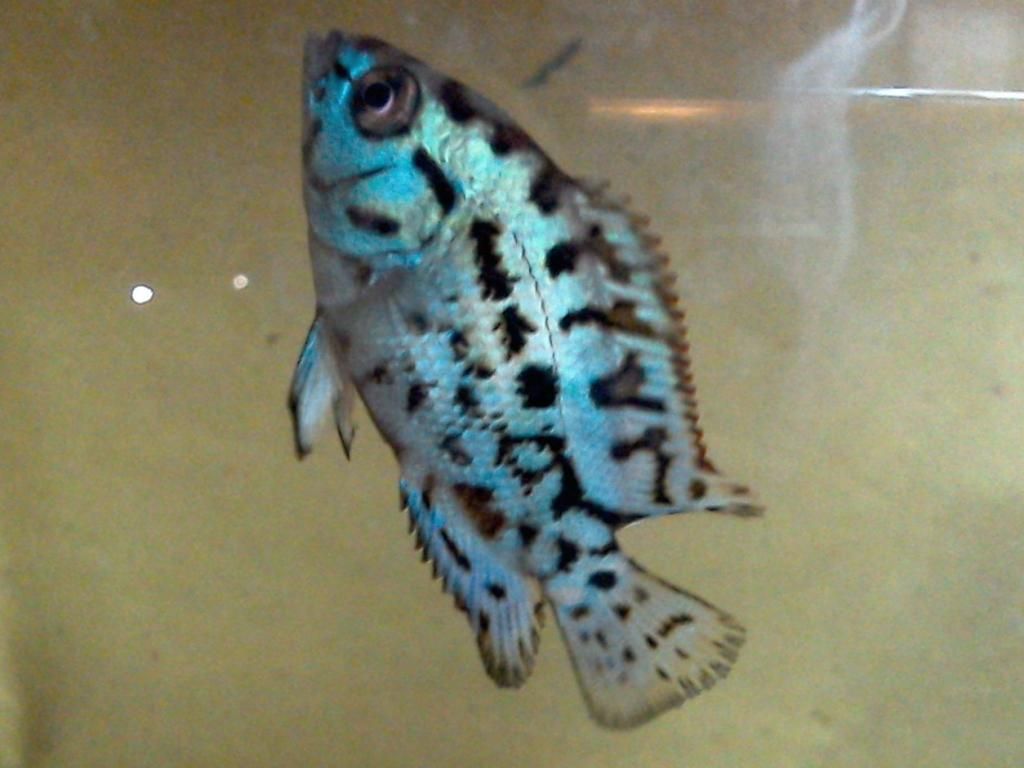 WIN_20140407_153554.JPG