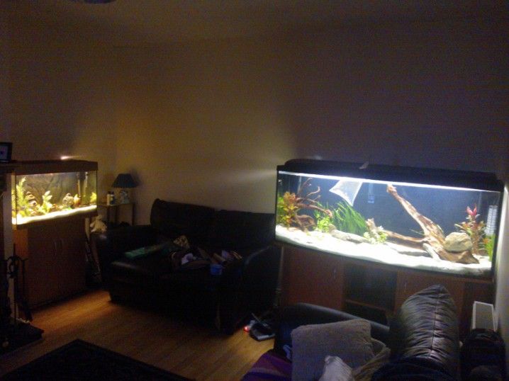 WP_000534.jpg