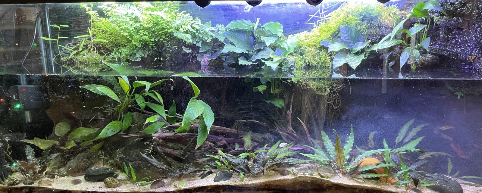 Yunnan foothills.jpg