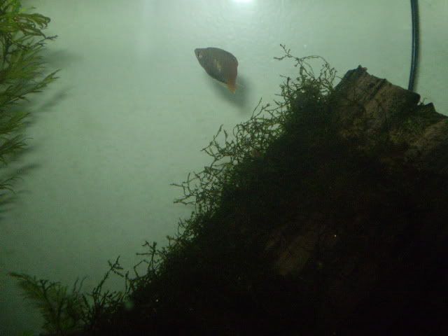 P6020177.jpg